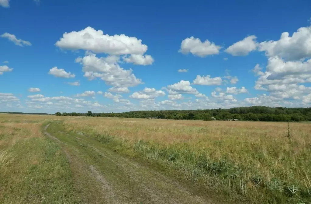 Участок в Волгоградская область, Урюпинский район, Михайловское с/пос, ... - Фото 2