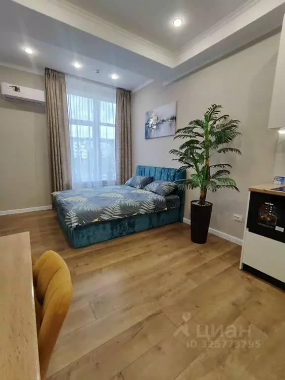 Студия Крым, Ялта ул. Киевская, 44 (29.0 м) - Фото 2