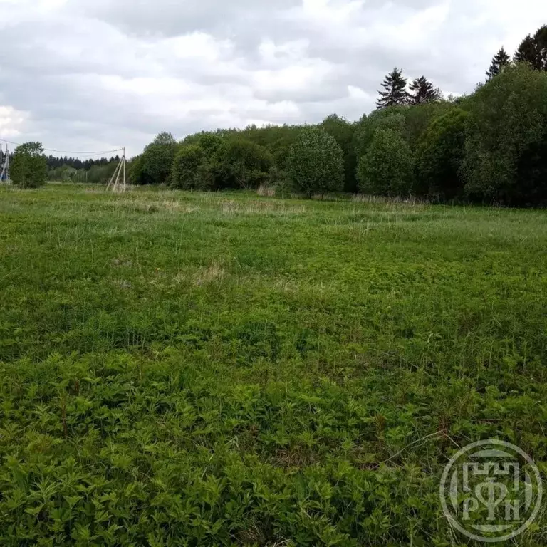 Участок в Ленинградская область, Ломоносовский район, Кипенское с/пос, ... - Фото 1