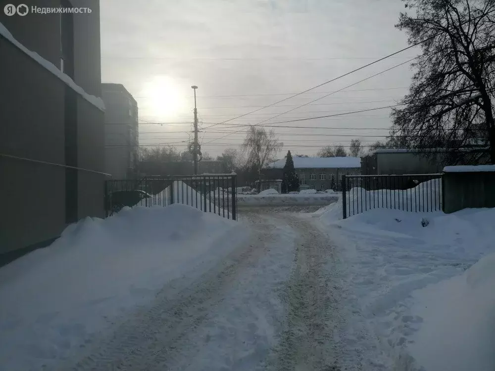 Помещение свободного назначения (330 м) - Фото 2