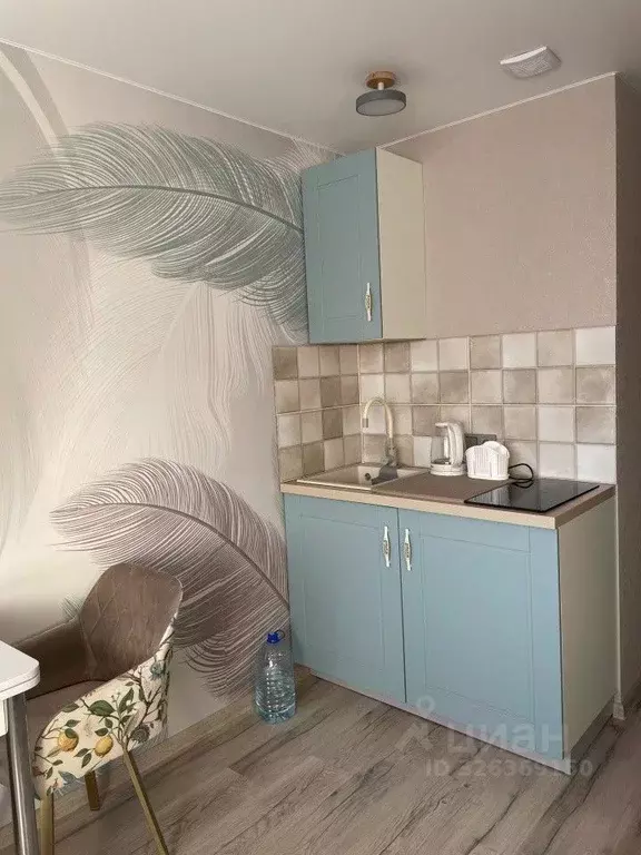 1-к кв. Пермский край, Пермь ш. Космонавтов, 113А (19.4 м) - Фото 2