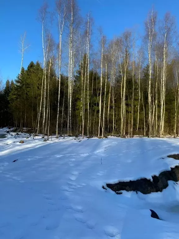 Участок в Ленинградская область, Кировский район, Синявинское ... - Фото 1