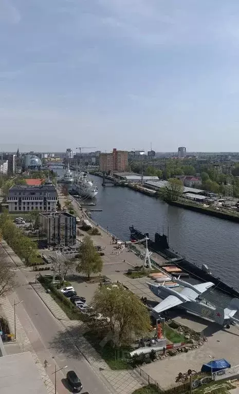 1-к кв. Калининградская область, Калининград ул. Генерала Буткова, ... - Фото 1