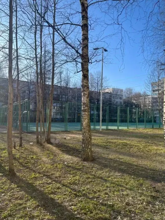 1-к кв. Санкт-Петербург просп. Народного ополчения, 183 (35.0 м) - Фото 0