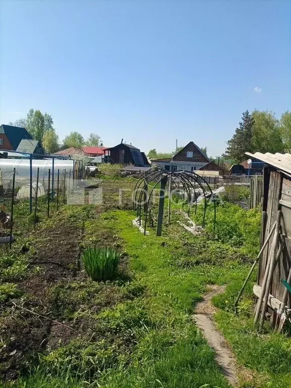 Участок в Новосибирская область, Новосибирск Столичная ул., 12 (3.5 ... - Фото 1