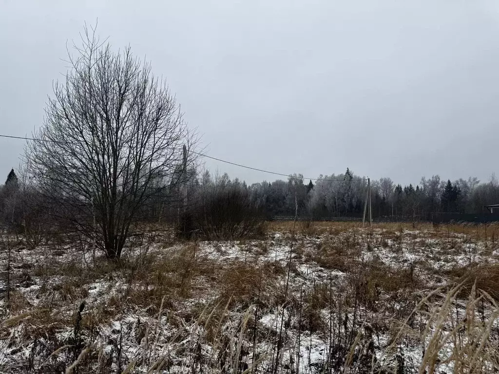 Участок в Московская область, Рузский муниципальный округ, д. Старо ... - Фото 0