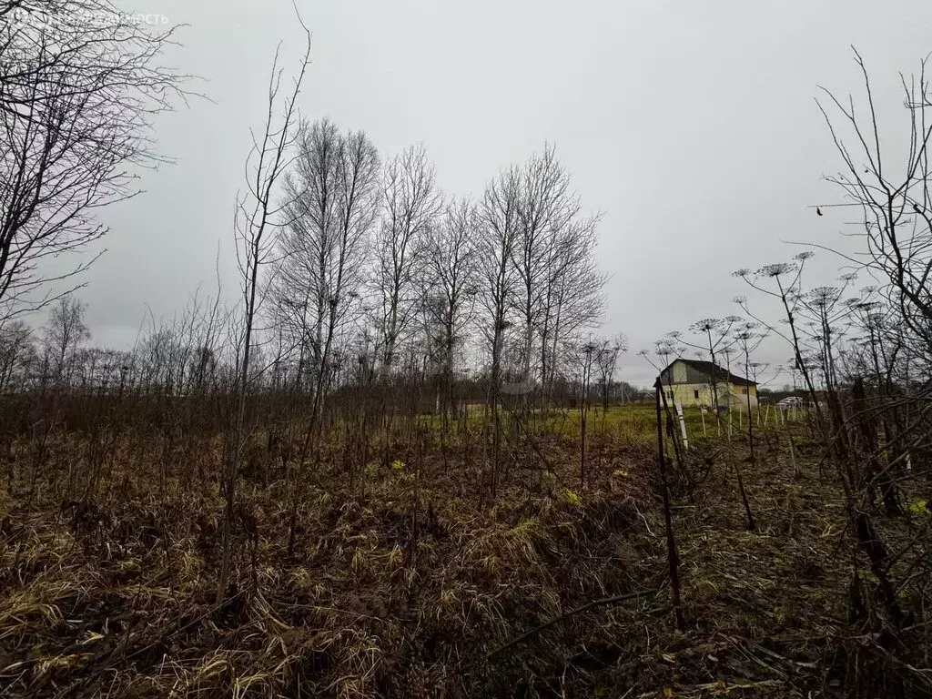 Участок в Тверская область, Калининский муниципальный округ, село ... - Фото 1