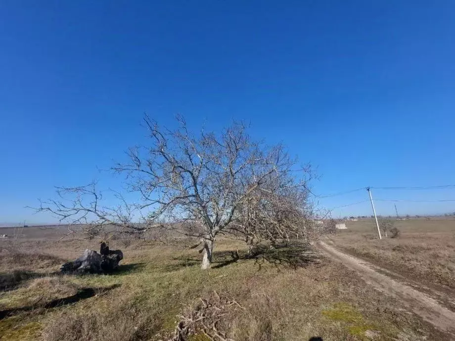 Участок в Крым, Симферопольский район, с. Мирное  (6.1 сот.) - Фото 0