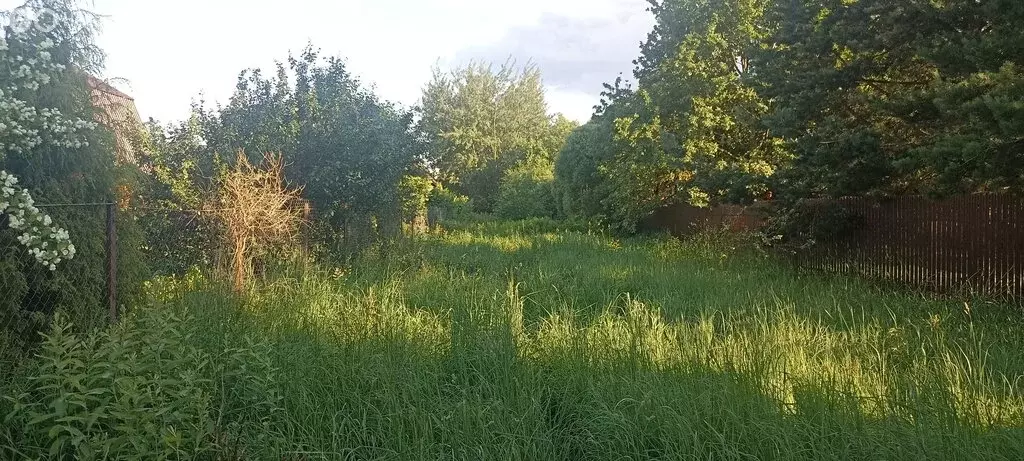 Участок в Московская область, городской округ Мытищи, деревня ... - Фото 1