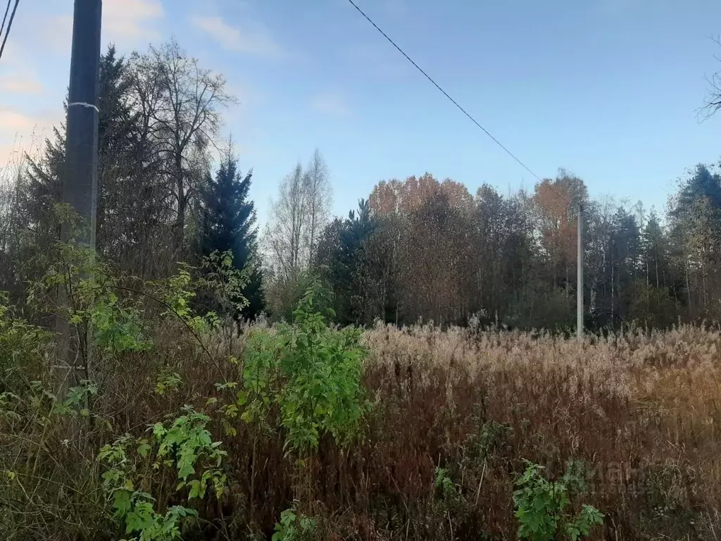 Участок в Санкт-Петербург пос. Серово,  (13.0 сот.) - Фото 2