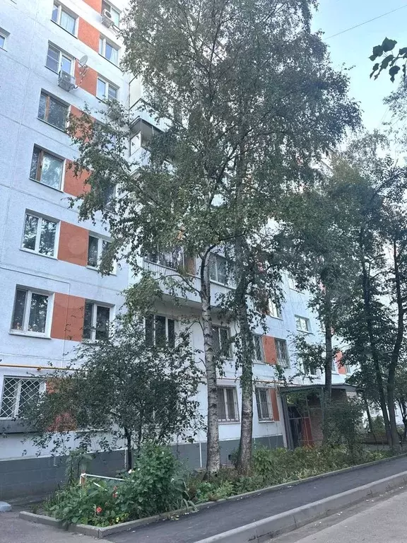 Квартира-студия, 20,2 м, 1/9 эт. - Фото 1