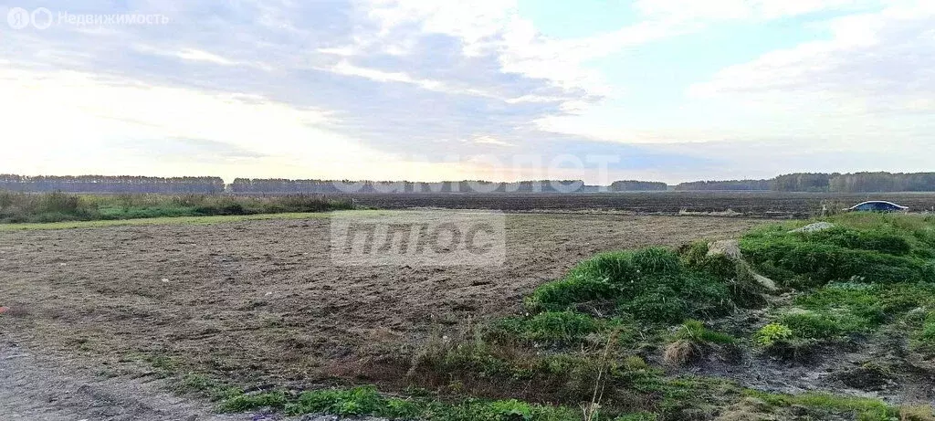 Участок в село Пушкино, Цветочная улица (15 м) - Фото 2