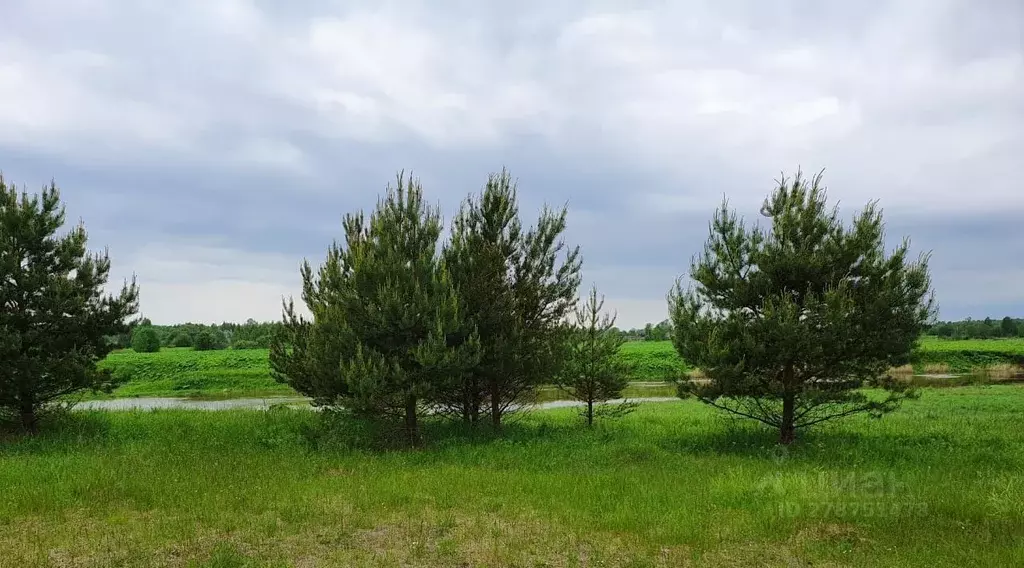 Участок в Тверская область, Конаковский муниципальный округ, д. ... - Фото 0