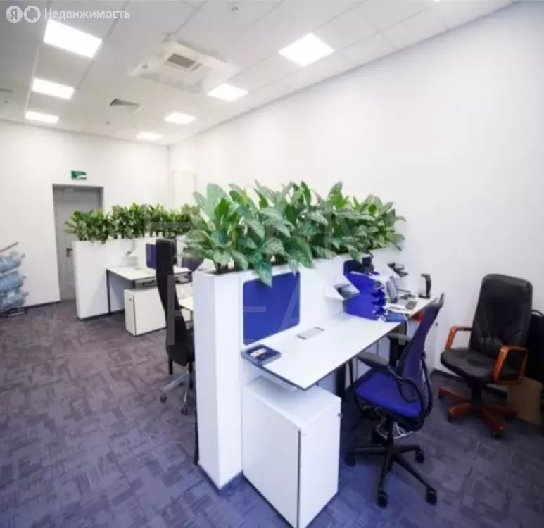 Офис (82.1 м) - Фото 2