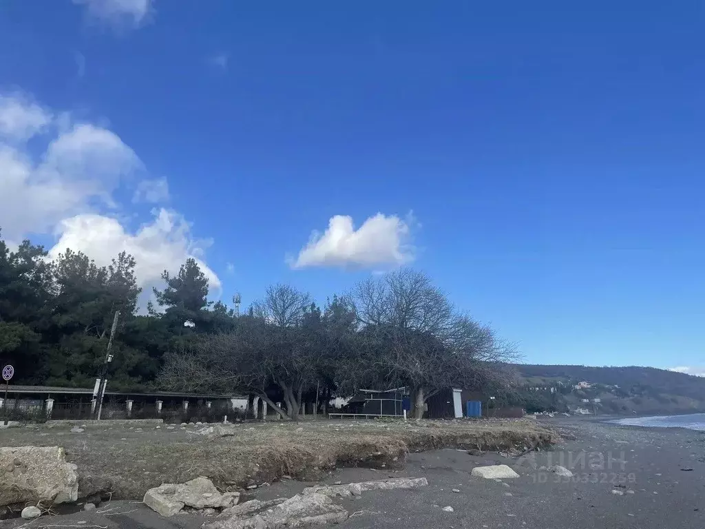 Участок в Крым, Алушта муниципальный округ, с. Приветное ул. Горького, ... - Фото 1