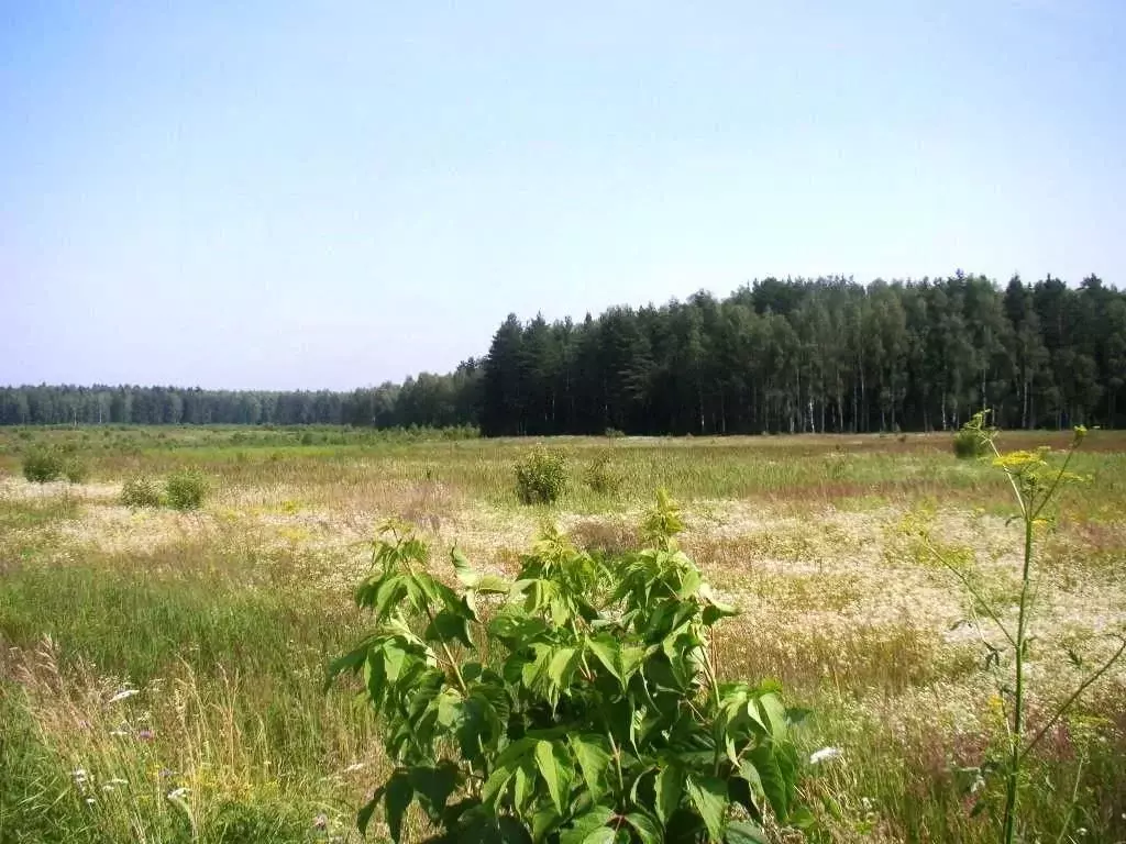 Участок в Владимирская область, Киржачский муниципальный округ, д. ... - Фото 2