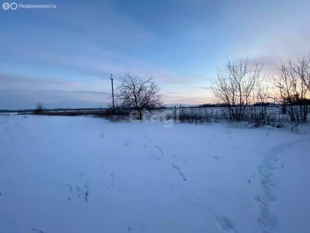 Участок в село Юшково (31 м) - Фото 1