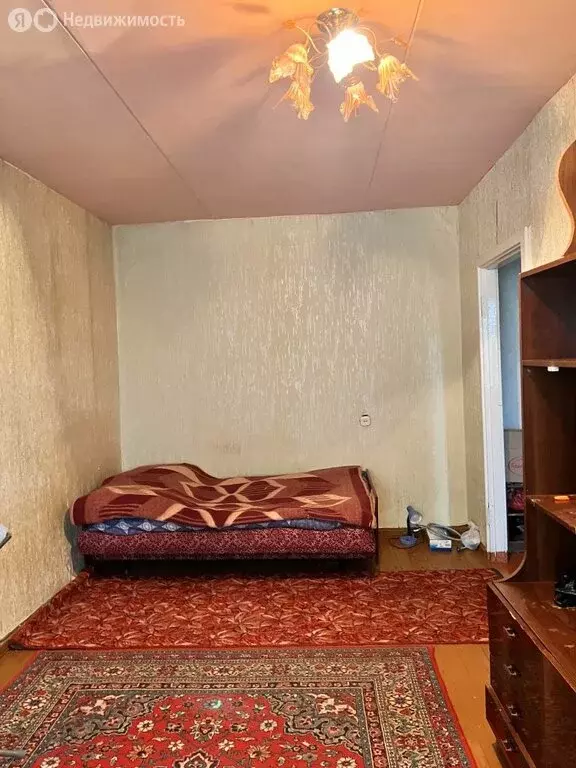 1-комнатная квартира: Брянск, Московский проспект, 20 (30 м) - Фото 1