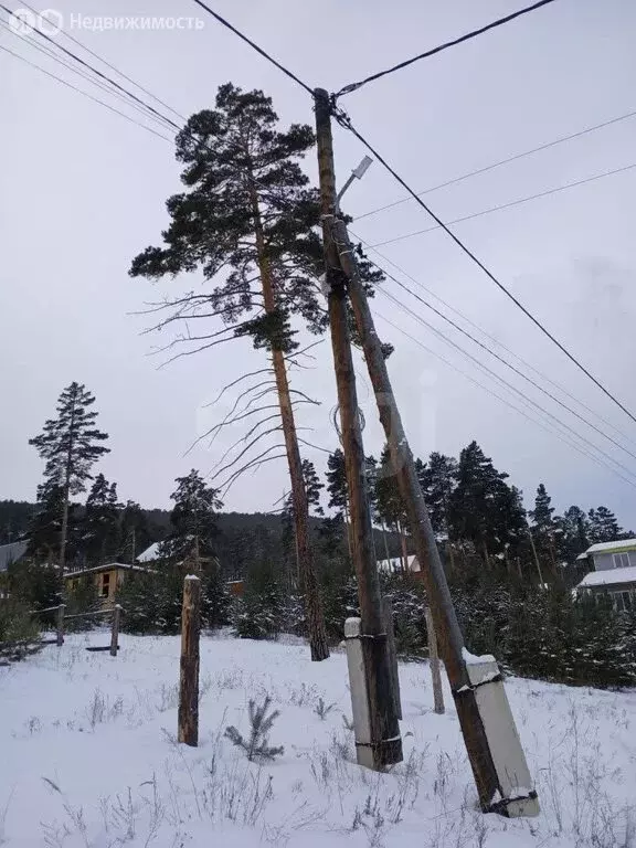 Участок в Улан-Удэ, ДНТ Перспектива (8 м) - Фото 2