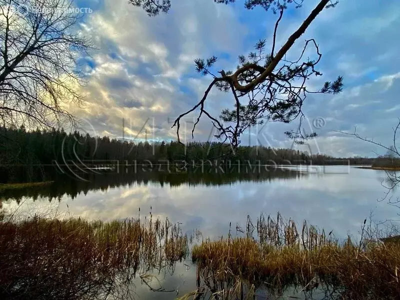 Участок в Выборгский район, Каменногорское городское поселение, ... - Фото 0