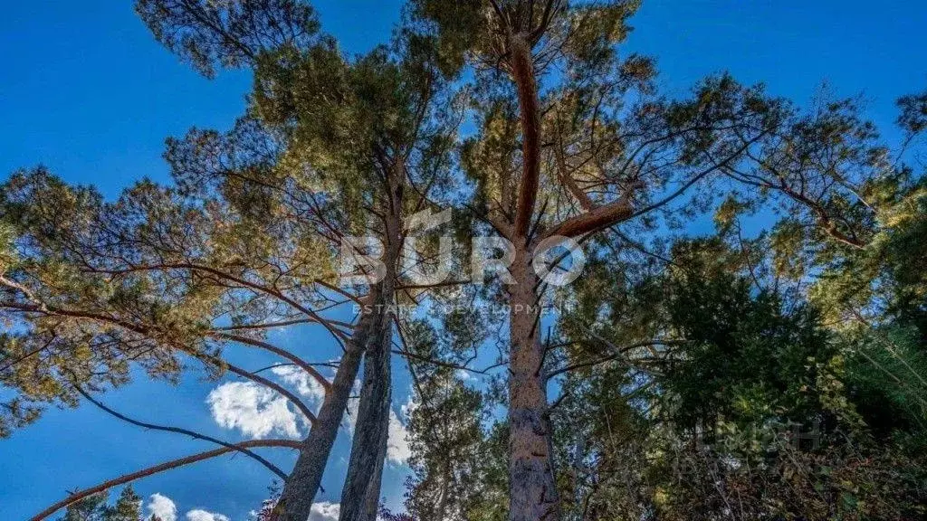 Участок, 34.2 сот., поселения (ижс) - Фото 2