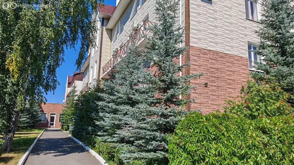 Квартира-студия: деревня Зелёная Поляна, Курортная улица, 8 (17 м) - Фото 1