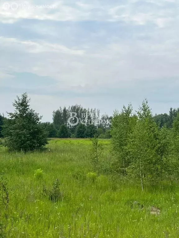 Участок в Владимирская область, Собинский муниципальный округ, село ... - Фото 0