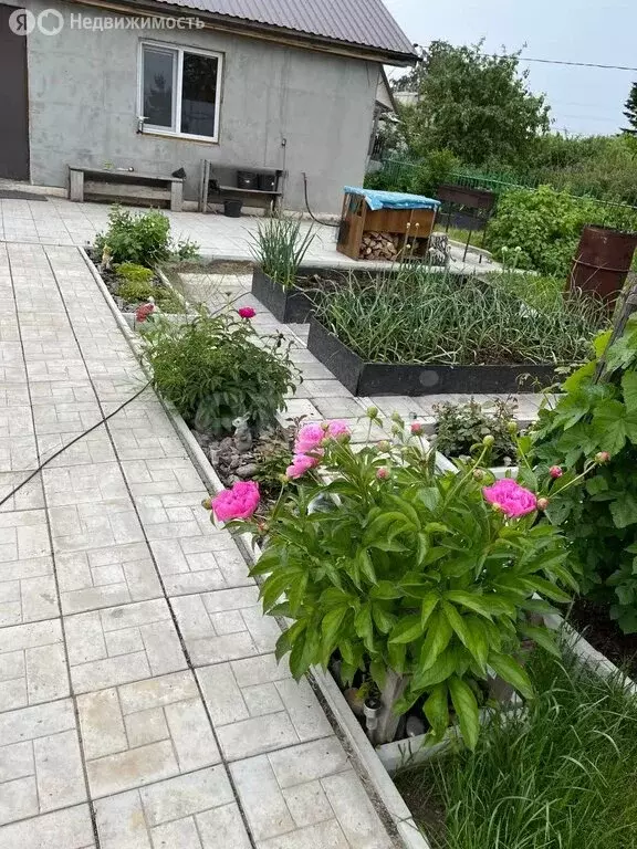 Дом в Омск, территория СОСН Карат, 3-я аллея (49 м) - Фото 1