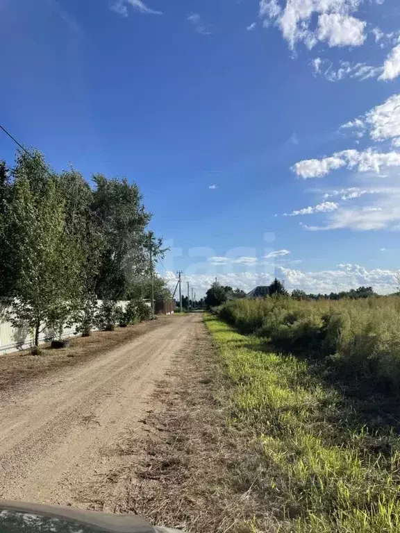 Участок в Амурская область, Благовещенский район, с. Ровное Новая ул. ... - Фото 1
