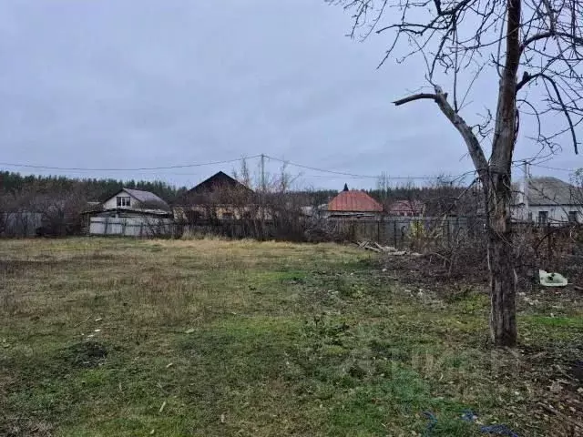 Участок в Воронежская область, Новоусманский район, пос. Воля Логовая ... - Фото 1