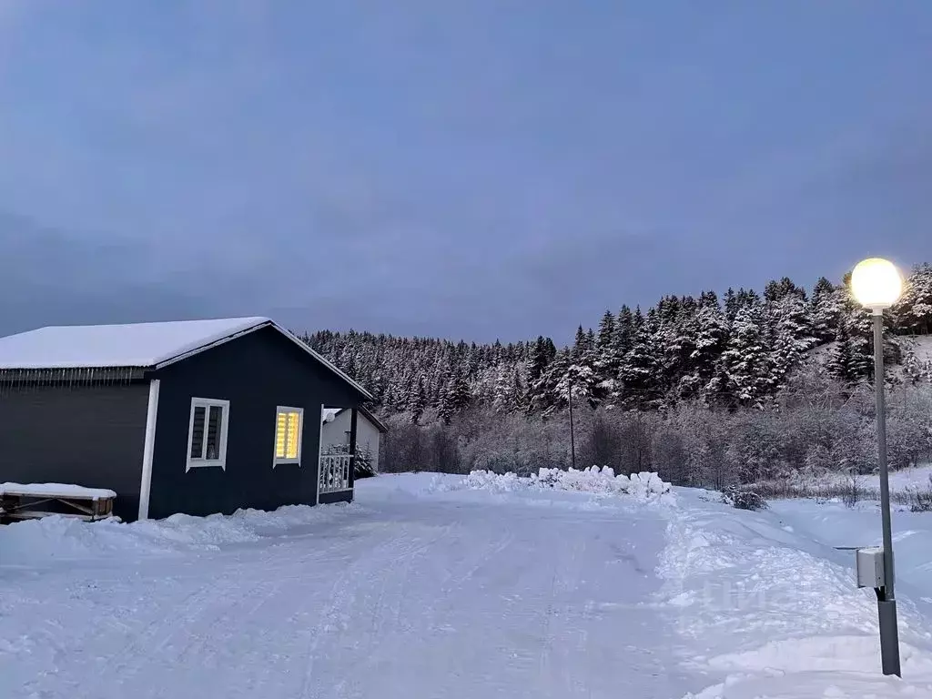 Дом в Карелия, Питкярантский муниципальный округ, д. Хийденсельга  (40 ... - Фото 2