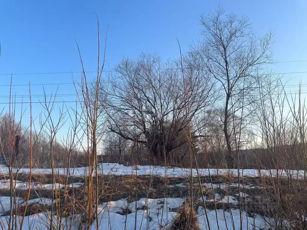 Участок в Сахалинская область, Анивский городской округ, с. ... - Фото 1