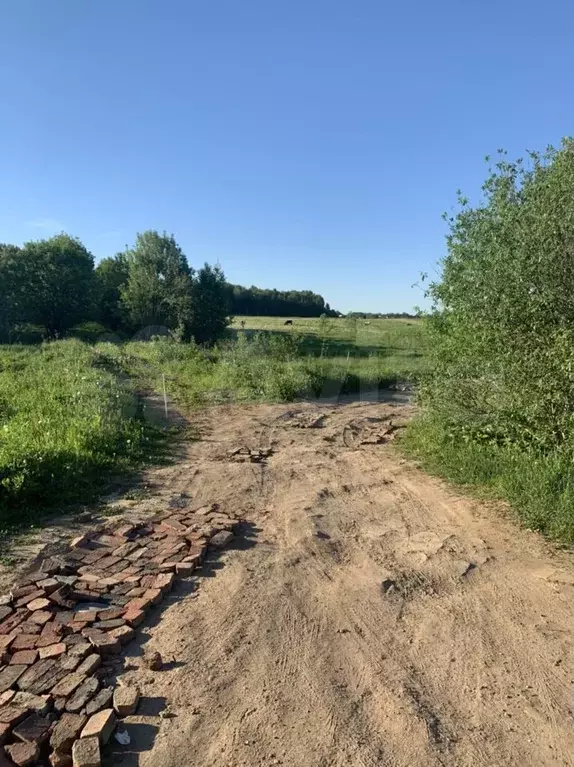 Купить Участок Деревня Березняки Егорьевский Район
