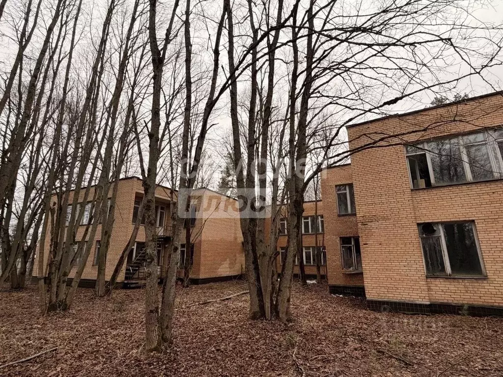 Помещение свободного назначения в Московская область, Можайский ... - Фото 1