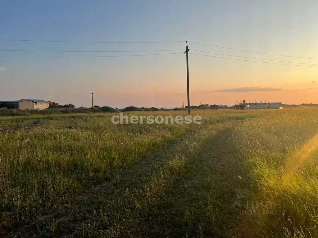 Участок в Крым, Черноморский район, Оленевское с/пос, с. Оленевка ул. ... - Фото 1
