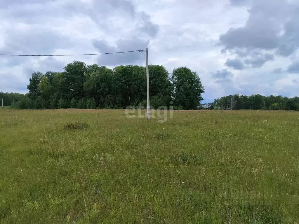 Участок в Алтайский край, Барнаул пл. Имени Акинфия Демидова (10.8 ... - Фото 0