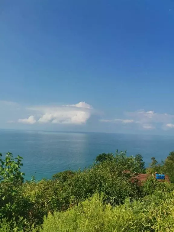 Участок в Краснодарский край, Сочи Мамайка мкр, пер. Ландышевый, 12 ... - Фото 1