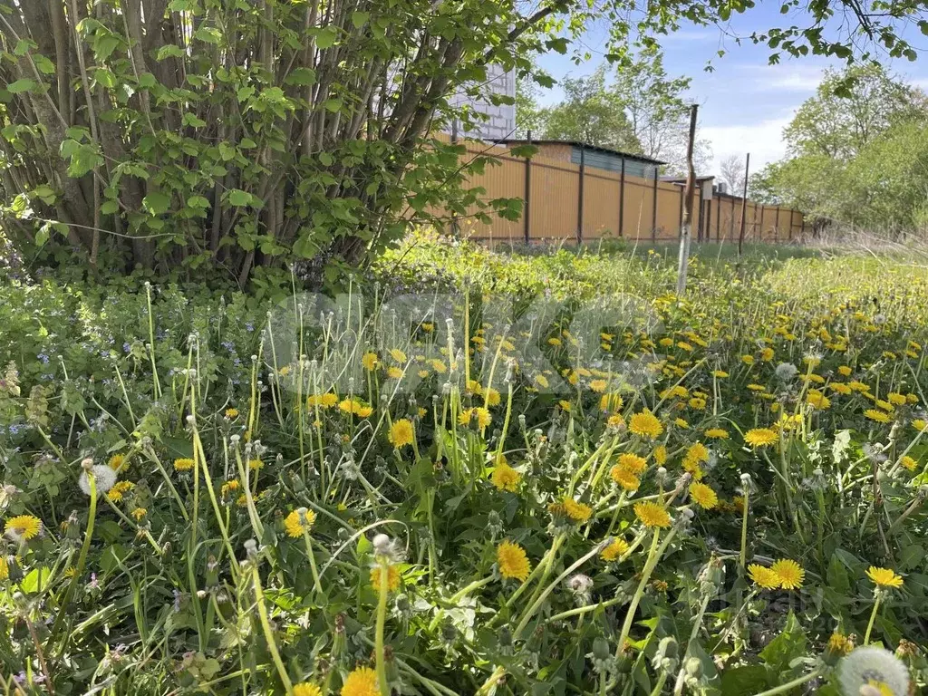 Участок в Краснодарский край, Горячий Ключ ул. Ярославского (9.1 сот.) - Фото 1