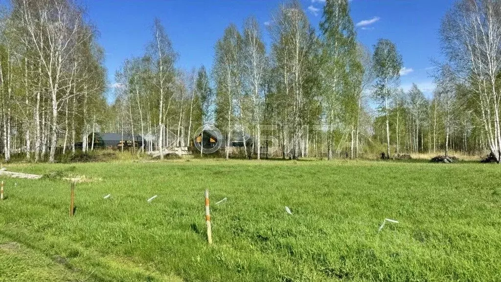 Участок в Тюменская область, Тюменский район, Лесник-2 СНТ ул. ... - Фото 1