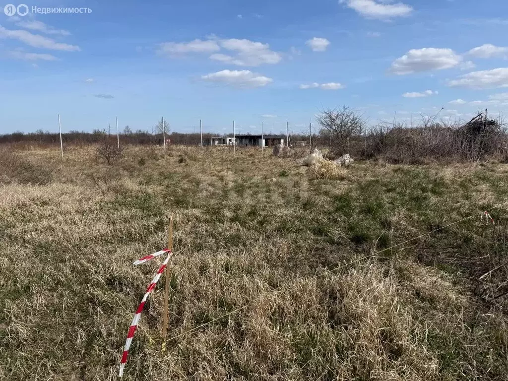 Участок в Калининградская область, Гурьевский муниципальный округ, ... - Фото 1