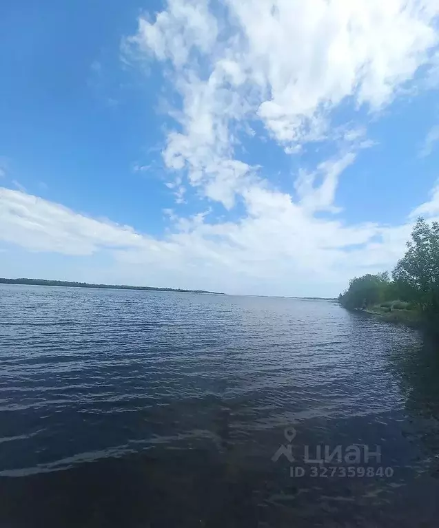 Участок в Самарская область, Безенчукский район, Екатериновка с/пос, ... - Фото 1