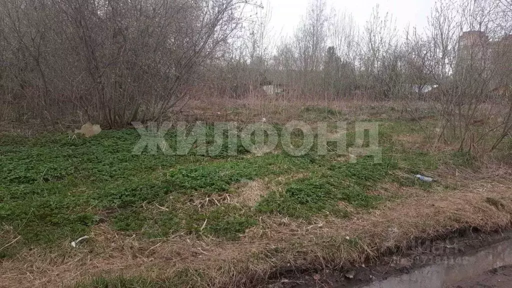 Участок в Новосибирская область, Новосибирск Комета-Березка садовое ... - Фото 1