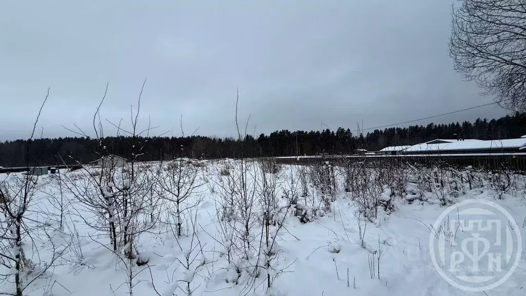 Участок в Ленинградская область, Выборгский район, Светогорское ... - Фото 2