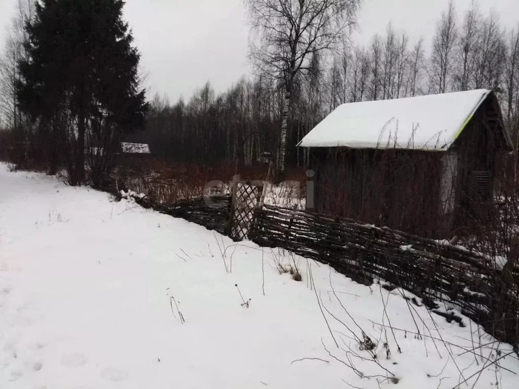 Участок в Вологодская область, Вологда Медик садоводческое ... - Фото 2