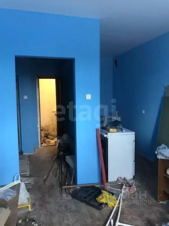 Студия Новосибирская область, Новосибирск ул. Титова, 250 (29.4 м) - Фото 2