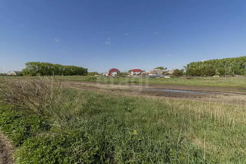 Участок в Тюменская область, Тюменский район, с. Каскара  (8.1 сот.) - Фото 0