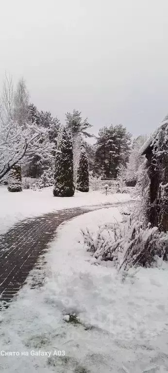 Дом в Псковская область, Невельский муниципальный округ, д. Опухлики  ... - Фото 2