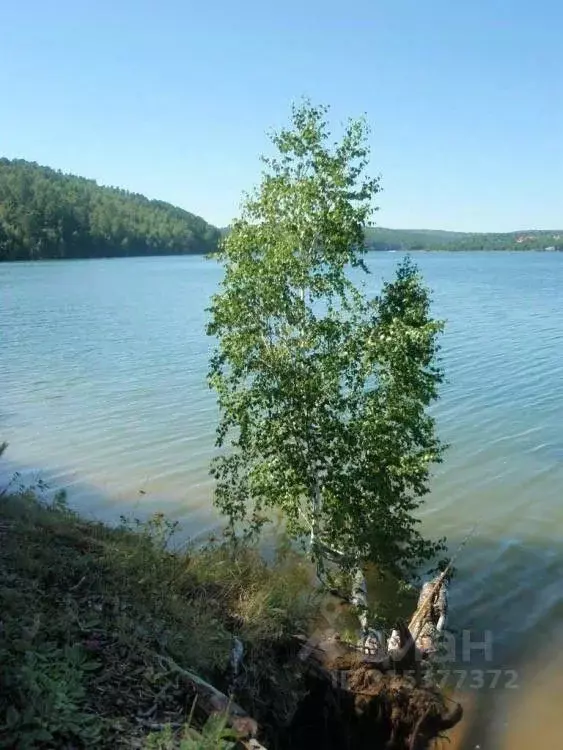 Участок в Иркутская область, Иркутский муниципальный округ, д. ... - Фото 0