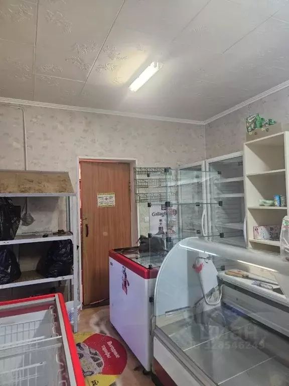 Торговая площадь в Северная Осетия, Владикавказ ул. Бритаева, 2 (18 м) - Фото 2