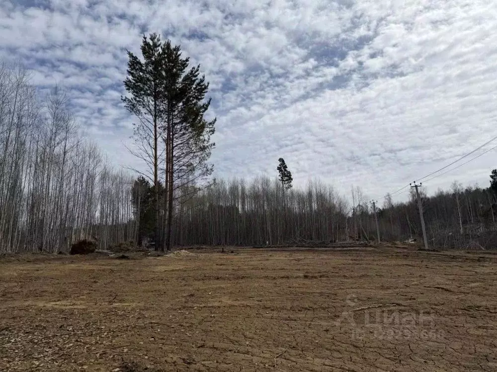 Участок в Иркутская область, Иркутский муниципальный округ, д. ... - Фото 1